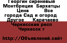 Георгин сиреневый. Монтбреция. Бархатцы.  › Цена ­ 100 - Все города Сад и огород » Другое   . Карачаево-Черкесская респ.,Черкесск г.